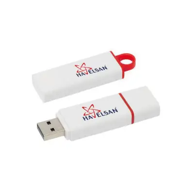 MENGÜCEKLİLER PLASTİK USB BELLEK (16 GB)