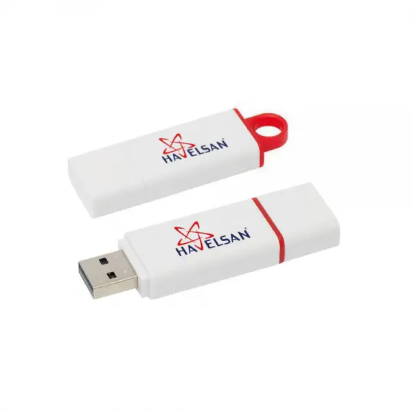 MENGÜCEKLİLER PLASTİK USB BELLEK (16 GB)